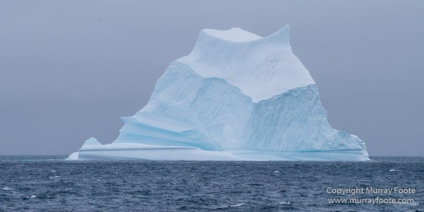 Greenland, Icebergs, Landscape, Nature, Photography, Scoresby Sund, seascape, Travel, Wilderness