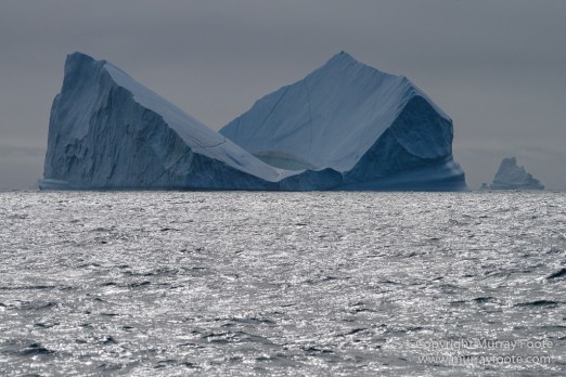 Greenland, Icebergs, Landscape, Nature, Photography, Scoresby Sund, seascape, Travel, Wilderness