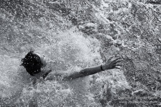 Bearded seal, Black and White, Huskies, Icebergs, Ittoqqortoomiit, Landscape, Monochrome, Musk Ox, Photography, seascape, Travel, Wilderness, Wildlife