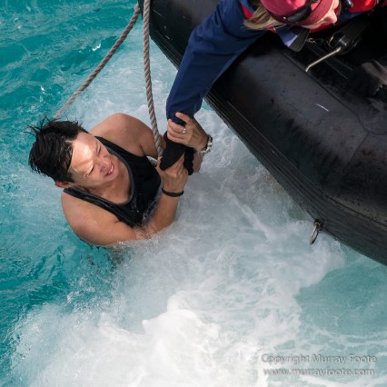 Greenland, Icebergs, Landscape, Nature, Photography, Polar Plunge, Red Island, Scoresby Sund, seascape, Travel, Wilderness