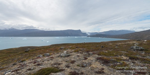 Archaeology, Greenland, Hare Fjord, Icebergs, Inuit, Landscape, Nature, Photography, Scoresby Sund, seascape, Travel, Wilderness