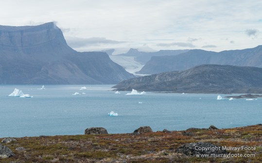 Archaeology, Greenland, Hare Fjord, Icebergs, Inuit, Landscape, Nature, Photography, Scoresby Sund, seascape, Travel, Wilderness
