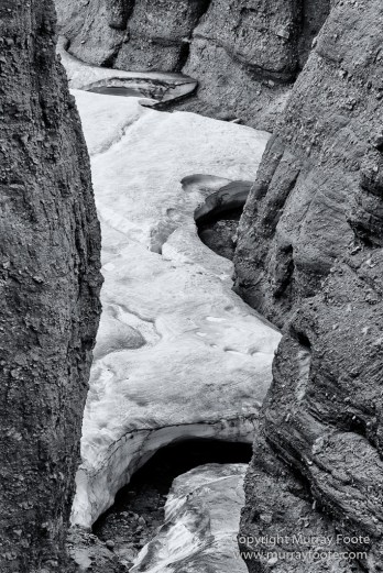 Bearded seal, Black and White, Huskies, Icebergs, Ittoqqortoomiit, Landscape, Monochrome, Musk Ox, Photography, seascape, Travel, Wilderness, Wildlife