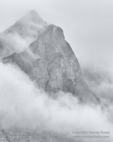 Bearded seal, Black and White, Huskies, Icebergs, Ittoqqortoomiit, Landscape, Monochrome, Musk Ox, Photography, seascape, Travel, Wilderness, Wildlife
