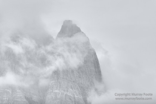 Bearded seal, Black and White, Huskies, Icebergs, Ittoqqortoomiit, Landscape, Monochrome, Musk Ox, Photography, seascape, Travel, Wilderness, Wildlife
