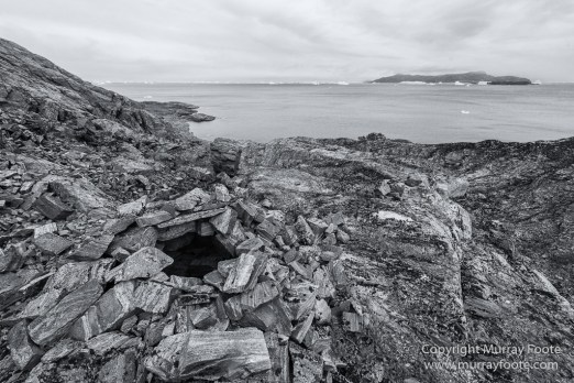 Arctic Hare, Black and White, Glacier, Greenland, Humpback whale, Landscape, Monochrome, Musk Ox, Photography, seascape, Travel, Wilderness, Wildlife