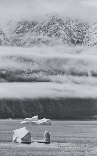 Arctic Hare, Black and White, Glacier, Greenland, Humpback whale, Landscape, Monochrome, Musk Ox, Photography, seascape, Travel, Wilderness, Wildlife
