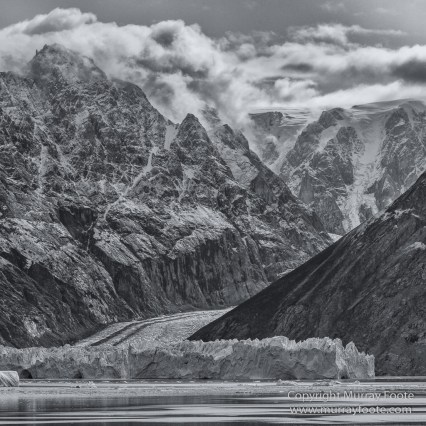 Arctic Hare, Black and White, Glacier, Greenland, Humpback whale, Landscape, Monochrome, Musk Ox, Photography, seascape, Travel, Wilderness, Wildlife
