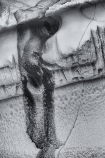 Arctic Hare, Black and White, Glacier, Greenland, Humpback whale, Landscape, Monochrome, Musk Ox, Photography, seascape, Travel, Wilderness, Wildlife