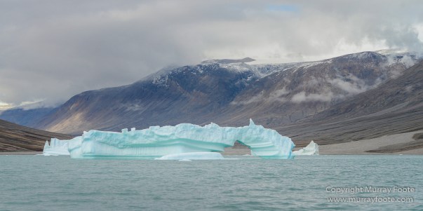 Greenland, Icebergs, Landscape, Nature, Nordvestfjord, Photography, Scoresby Sund, seascape, Travel, Wilderness