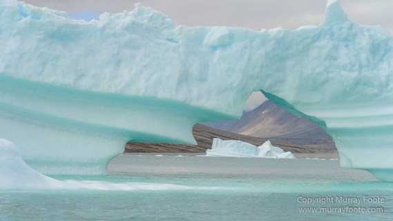 Greenland, Icebergs, Landscape, Nature, Nordvestfjord, Photography, Scoresby Sund, seascape, Travel, Wilderness