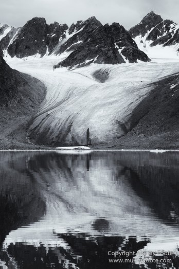 Bearded seal, Black and White, Blue whale, Glacier, Harbour Seals, Landscape, Monochrome, Photography, Polar Bears, seascape, Spitsbergen, Travel, Wilderness, Wildlife