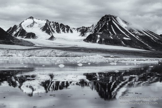 Bearded seal, Black and White, Blue whale, Glacier, Harbour Seals, Landscape, Monochrome, Photography, Polar Bears, seascape, Spitsbergen, Travel, Wilderness, Wildlife