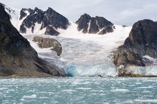 Glacier, Guillemots, Hamiltonbukta, Icebergs, Nature, Photography, Polar Bears, seascape, Spitsbergen, Travel, Walrus, Wilderness, Wildlife