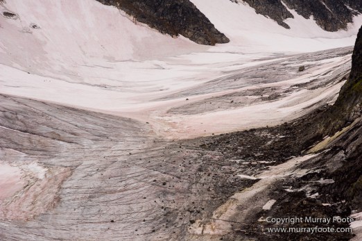 Glacier, Guillemots, Hamiltonbukta, Icebergs, Nature, Photography, Polar Bears, seascape, Spitsbergen, Travel, Walrus, Wilderness, Wildlife