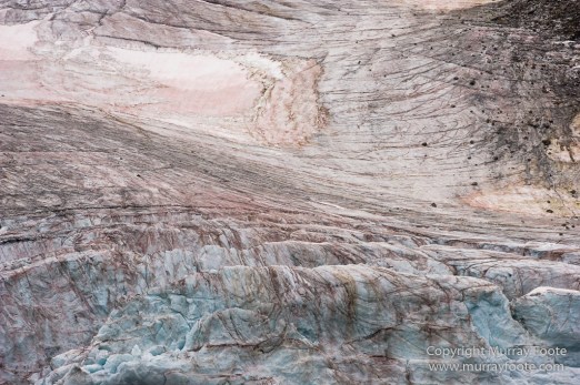 Glacier, Guillemots, Hamiltonbukta, Icebergs, Nature, Photography, Polar Bears, seascape, Spitsbergen, Travel, Walrus, Wilderness, Wildlife