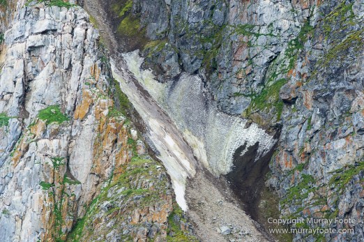 Glacier, Guillemots, Hamiltonbukta, Icebergs, Nature, Photography, Polar Bears, seascape, Spitsbergen, Travel, Walrus, Wilderness, Wildlife