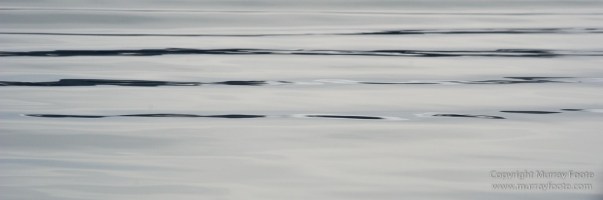 Glacier, Guillemots, Hamiltonbukta, Icebergs, Nature, Photography, Polar Bears, seascape, Spitsbergen, Travel, Walrus, Wilderness, Wildlife