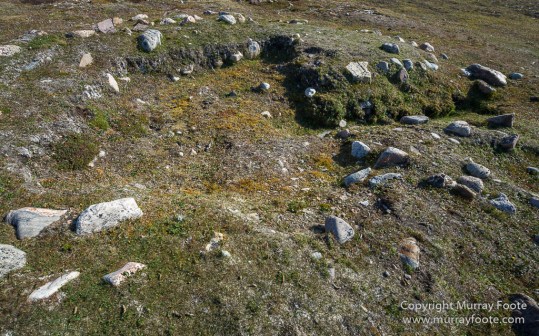 Archaeology, Clavering Island, Greenland, Inuit, Landscape, Musk Ox, Nature, Photography, seascape, Travel, Wilderness, Wildlife