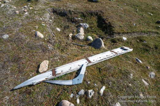 Archaeology, Clavering Island, Greenland, Inuit, Landscape, Musk Ox, Nature, Photography, seascape, Travel, Wilderness, Wildlife