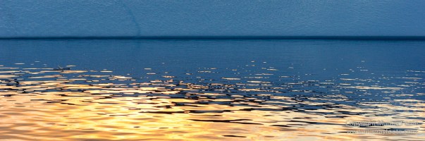 Greenland, Icebergs, Landscape, Nature, Photography, Polar Plunge, Red Island, Scoresby Sund, seascape, Travel, Wilderness