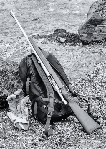 Arctic Hare, Black and White, Glacier, Greenland, Humpback whale, Landscape, Monochrome, Musk Ox, Photography, seascape, Travel, Wilderness, Wildlife