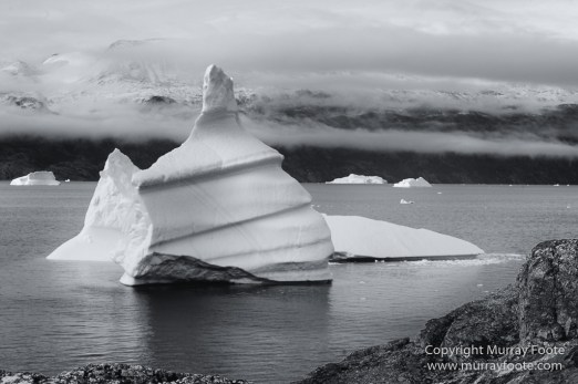 Arctic Hare, Black and White, Glacier, Greenland, Humpback whale, Landscape, Monochrome, Musk Ox, Photography, seascape, Travel, Wilderness, Wildlife