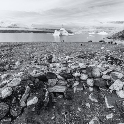 Arctic Hare, Black and White, Glacier, Greenland, Humpback whale, Landscape, Monochrome, Musk Ox, Photography, seascape, Travel, Wilderness, Wildlife