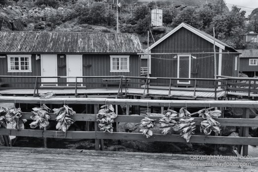 Andenes, Architecture, Å, Ballstad, Eggumsveien Nature Reserve, Gryllefjord, Henningsvaer, Landscape, Lofoten Islands, Norway, Nusfjord, Photography, Reine, seascape, Travel