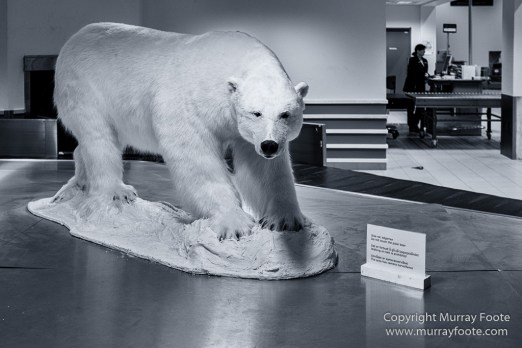 Architecture, Black and White, Coal, Landscape, Longyearbyen, Monochrome, Nordenskiöld Glacier, Photography, Pyramiden, Russia, seascape, Spitsbergen, Travel, Wilderness, Wildlife