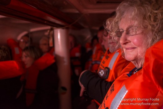 Coal, History, Huskies, Longyearbyen, Nature, Photography, Reindeer, seascape, Spitsbergen, Travel, Wildlife