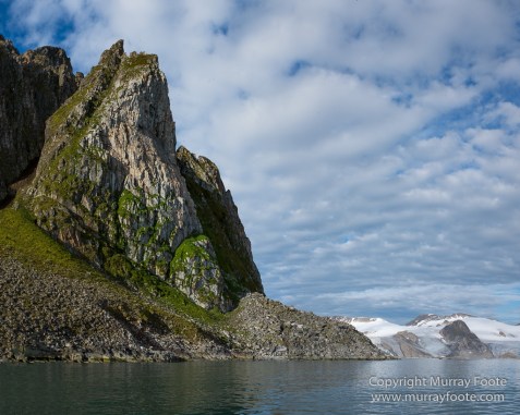 Glacier, Guillemots, Hamiltonbukta, Icebergs, Nature, Photography, Polar Bears, seascape, Spitsbergen, Travel, Walrus, Wilderness, Wildlife