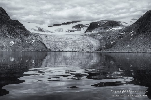 Bearded seal, Black and White, Blue whale, Glacier, Harbour Seals, Landscape, Monochrome, Photography, Polar Bears, seascape, Spitsbergen, Travel, Wilderness, Wildlife