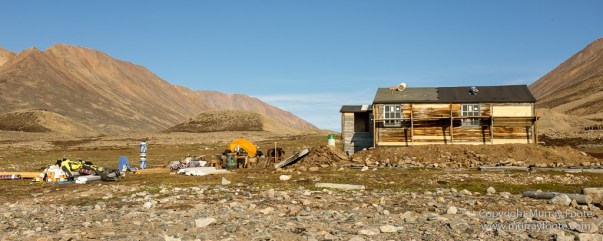 Archaeology, Clavering Island, Greenland, Inuit, Landscape, Musk Ox, Nature, Photography, seascape, Travel, Wilderness, Wildlife