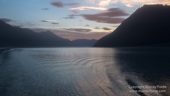Alpefjord, Bearded seal, Greenland, Landscape, Nature, Photography, seascape, Travel, Wilderness, Wildlife