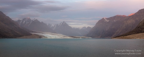 Alpefjord, Bearded seal, Greenland, Landscape, Nature, Photography, seascape, Travel, Wilderness, Wildlife