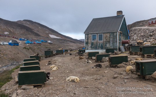 Greenland, History, Huskies, Inuit, Ittoqqortoomiit, Landscape, Nature, Photography, seascape, Street photography, Travel