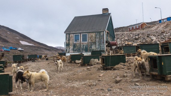 Greenland, History, Huskies, Inuit, Ittoqqortoomiit, Landscape, Nature, Photography, seascape, Street photography, Travel