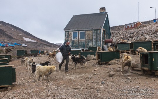 Greenland, History, Huskies, Inuit, Ittoqqortoomiit, Landscape, Nature, Photography, seascape, Street photography, Travel