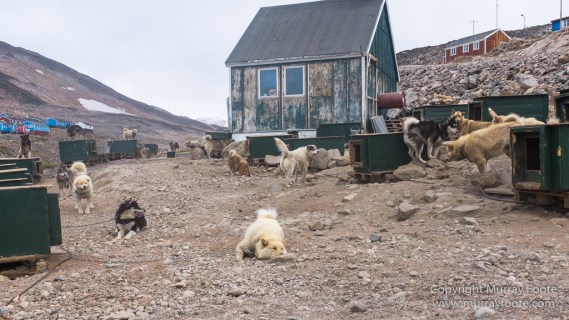Greenland, History, Huskies, Inuit, Ittoqqortoomiit, Landscape, Nature, Photography, seascape, Street photography, Travel
