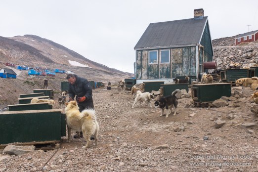 Greenland, History, Huskies, Inuit, Ittoqqortoomiit, Landscape, Nature, Photography, seascape, Street photography, Travel