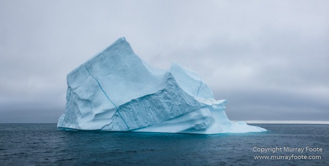 Greenland, Icebergs, Landscape, Nature, Photography, Scoresby Sund, seascape, Travel, Wilderness