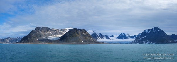 Glacier, Harbour Seals, Icebergs, Nature, Photography, seascape, Smeerenburg, Spitsbergen, Travel, Wilderness, Wildlife