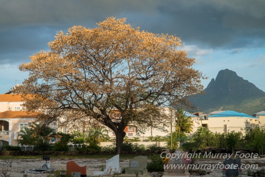 Architecture, Landscape, Mauritius, Photography, seascape, Travel, Wildlif
