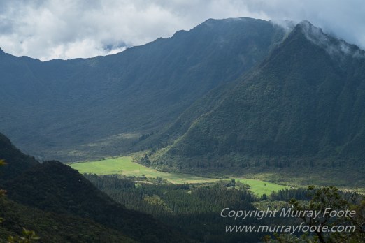 Architecture, Landscape, Photography, Reunion, seascape, Travel, Wildlife, Macro