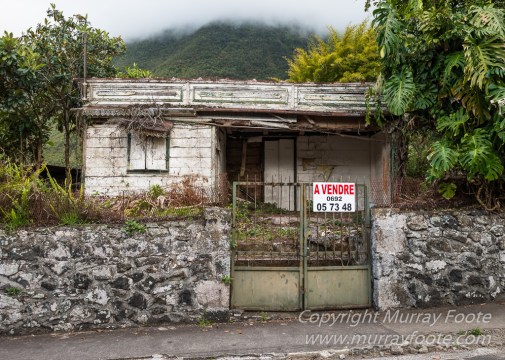 Architecture, Landscape, Photography, Reunion, seascape, Travel, Wildlife, Macro