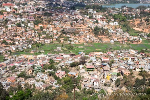 Antananarivo, Architecture, Chameleons, Gecko, Landscape, Lemurs, Macro, Madagascar, Peyrieras Reserve, Photography, seascape, Street photography, Tenrec, Travel, Wildlife