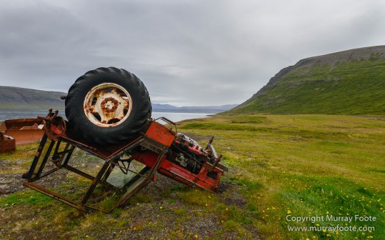 Bildudalir, Breiðavik, Iceland, Landscape, Nature, Photography, seascape, Travel, Vestfirðir, West Fjords, Wilderness