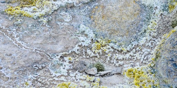 boiling mud, Hverarönd, Iceland, Landscape, Mývatn, Nature, Photography, Thermal area, Travel, Wilderness