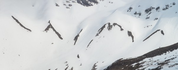 Antarctica, Fur seal, Gentoo Penguins, Giant Petrel, Grey-headed albatross, Landscape, Nature, Photography, seascape, South Georgia, Travel, Wilderness, Wildlife